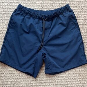 Mountain Hardwear Blue Mesh Shorts